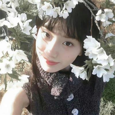 灵异档案 高清封面